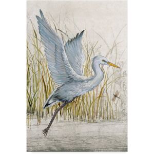 Trademark Fine Art Tim Otoole 'Heron Sanctuary I' Canvas Art Multi 16 x 24 Trademark Fine Art Tim Otoole 'Heron Sanctuary I' Canvas Art Multi 16 x 24