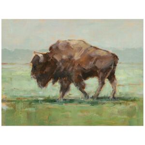 Trademark Fine Art Ethan Harper 'Where the Buffalo Roam II' Canvas Art White 18 x 24 Trademark Fine Art Ethan Harper 'Where the Buffalo Roam II' Canvas Art White 18 x 24
