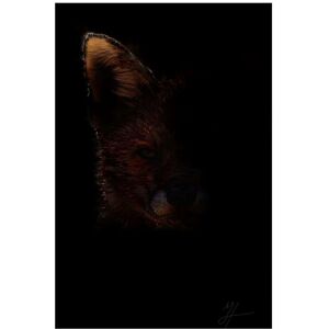 Trademark Fine Art Murray Henderson Fine Art 'Out Fox' Canvas Art Black 12 x 19 Trademark Fine Art Murray Henderson Fine Art 'Out Fox' Canvas Art Black 12 x 19