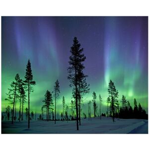 Wall Rogues Aurora Borealis/ Northern Lights Wall Mural Blue Oversized Wall Rogues Aurora Borealis/ Northern Lights Wall Mural Blue Oversized