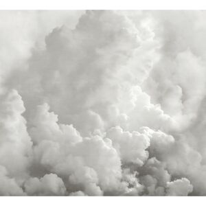 REMIX Walls by Katie Hunt In the Clouds Dove Grey Wall Mural Grey Oversized REMIX Walls by Katie Hunt In the Clouds Dove Grey Wall Mural Grey Oversized