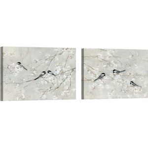 Masterpiece Art Gallery Natures Confetti 1 & 2 by Sally Swatland Canvas Art Prints Multi 16x20x2 Masterpiece Art Gallery Natures Confetti 1 & 2 by Sally Swatland Canvas Art Prints Multi 16x20x2