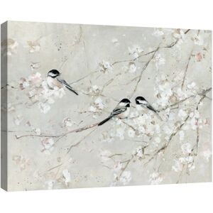 Masterpiece Art Gallery Natures Confetti 1 by Sally Swatland Canvas Art Print Multi 22x28 Masterpiece Art Gallery Natures Confetti 1 by Sally Swatland Canvas Art Print Multi 22x28