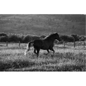 Trademark Fine Art Aledanda 'Going Home' Canvas Art Grey 30 x 47 Trademark Fine Art Aledanda 'Going Home' Canvas Art Grey 30 x 47
