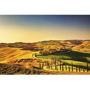 Dimex Tuscany Wall Mural - 98.4in x 147.6in x 0.025in Yellow 98.4in x 147.6in x 0.025in Dimex Tuscany Wall Mural - 98.4in x 147.6in x 0.025in Yellow 98.4in x 147.6in x 0.025in