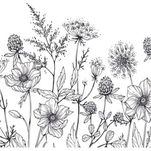 Veer Decor Meadow Bloom Sketch Wall Mural Black 110.0 In. L X 83.5 In. W X 0.02 In. D Veer Decor Meadow Bloom Sketch Wall Mural Black 110.0 In. L X 83.5 In. W X 0.02 In. D