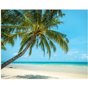 Wall Rogues Paradise Beach Wall Mural Blue Oversized Wall Rogues Paradise Beach Wall Mural Blue Oversized