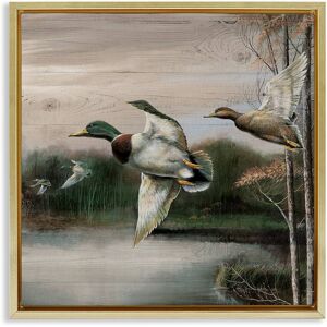 Stupell Flying Ducks in Rustic Nature Framed Floater Canvas Wall Art Design By Ruane Manning Green 25 x 25 Stupell Flying Ducks in Rustic Nature Framed Floater Canvas Wall Art Design By Ruane Manning Green 25 x 25