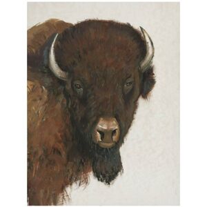Trademark Fine Art Tim OToole 'Western Portrait II' Canvas Art Brown 14 x 19 Trademark Fine Art Tim OToole 'Western Portrait II' Canvas Art Brown 14 x 19