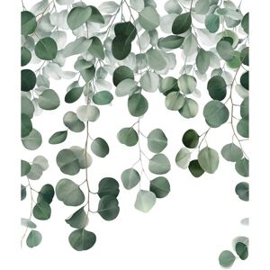 Galerie Wallcoverings Orom II Collection Raining Eucalyptus Leaf 62.5-inches wide x 9.18-feet high 3-panel Wall Mural Green 62.5-inches wide x 9.18-feet high Galerie Wallcoverings Orom II Collection Raining Eucalyptus Leaf 62.5-inches wide x 9.18-feet high 3-panel Wall Mural Green 62.5-inches wide x 9.18-feet high