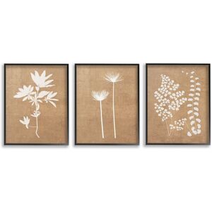 Stupell Nature Botanical Silhouettes Framed Giclee Art Design By GraffiTee Studios (Set of 3) Brown 16 x 20 Stupell Nature Botanical Silhouettes Framed Giclee Art Design By GraffiTee Studios (Set of 3) Brown 16 x 20