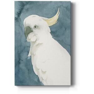 Wexford Home Cockatoo Portrait II Premium Gallery Wrapped Canvas - Ready to Hang Multi 12X18 Wexford Home Cockatoo Portrait II Premium Gallery Wrapped Canvas - Ready to Hang Multi 12X18