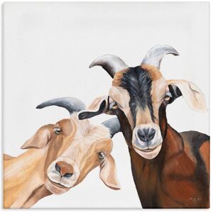 Stupell Happy Goat Smiling Animals Canvas Wall Art by Diane Fifer Brown 36 x 36 Stupell Happy Goat Smiling Animals Canvas Wall Art by Diane Fifer Brown 36 x 36