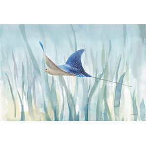 Trademark Fine Art Danhui Nai 'Undersea Ray' Canvas Art White 22 x 32 Trademark Fine Art Danhui Nai 'Undersea Ray' Canvas Art White 22 x 32
