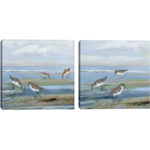 Masterpiece Art Gallery Seabird Beach I,II by Sally SwatlandCnvs 16 X 16 Masterpiece Art Gallery Seabird Beach I,II by Sally SwatlandCnvs 16 X 16