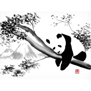 Trademark Fine Art Pechane 'Panda In His Tree' Canvas Art White 35 x 47 Trademark Fine Art Pechane 'Panda In His Tree' Canvas Art White 35 x 47