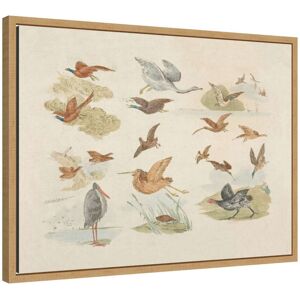 Kate and Laurel Birds of Fowling Henry Thomas Alken by Nostalgia Prints Framed Canvas Wall Art Print Beige 24x18 Kate and Laurel Birds of Fowling Henry Thomas Alken by Nostalgia Prints Framed Canvas Wall Art Print Beige 24x18