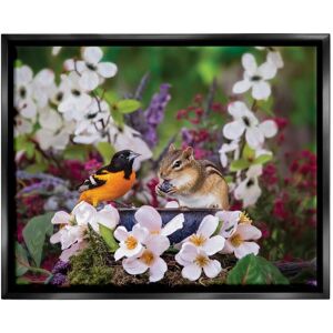 Stupell Squirrel & Bird in Nature Framed Floater Canvas Wall Art Design by Karen Burke Multi 21 x 17 Stupell Squirrel & Bird in Nature Framed Floater Canvas Wall Art Design by Karen Burke Multi 21 x 17