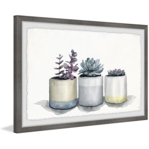 HomeStock Coastal Succulent Wall Art - Home Decor Painting Print - Living Room Bedroom Decor Multi 36 x 24 HomeStock Coastal Succulent Wall Art - Home Decor Painting Print - Living Room Bedroom Decor Multi 36 x 24