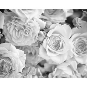 OhPopsi Grey Petals Wall Mural White Oversized OhPopsi Grey Petals Wall Mural White Oversized