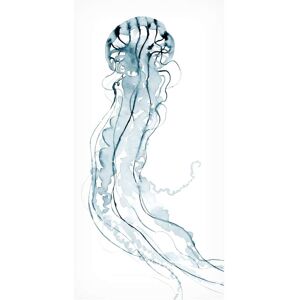 Trademark Fine Art Grace Popp 'Deep Sea Jelly II' Canvas Art White 24 x 47 Trademark Fine Art Grace Popp 'Deep Sea Jelly II' Canvas Art White 24 x 47