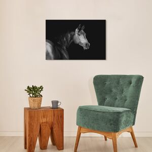Wynwood Studio Canvas Animals Tender Look Black and Modern & Contemporary Wall Art Canvas Print Black 16 x 24 Wynwood Studio Canvas Animals Tender Look Black and Modern & Contemporary Wall Art Canvas Print Black 16 x 24