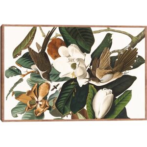 Masterpiece Art Gallery Kirklands Black Billed Cuckoo by John James Audubon - Color Taupe Frame Wall Art - Size 24x36 Multi Large Masterpiece Art Gallery Kirklands Black Billed Cuckoo by John James Audubon - Color Taupe Frame Wall Art - Size 24x36 Multi Large