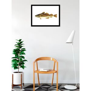 Buyartforless Atlantic Cod By Damon Crook Framed Art Poster - Wood Frame with Plexi Glass Black 24 x 18 Buyartforless Atlantic Cod By Damon Crook Framed Art Poster - Wood Frame with Plexi Glass Black 24 x 18
