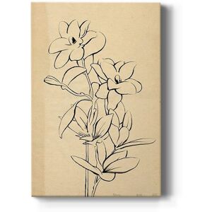 Wexford Home Magnolia Sketch I Premium Gallery Wrapped Canvas - Ready to Hang Multi 40X60 Wexford Home Magnolia Sketch I Premium Gallery Wrapped Canvas - Ready to Hang Multi 40X60