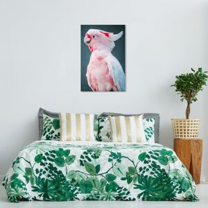 Wynwood Studio Canvas Animals Talkative Cockatoo Pink and Modern & Contemporary Wall Art Canvas Print Pink 36 x 24 Wynwood Studio Canvas Animals Talkative Cockatoo Pink and Modern & Contemporary Wall Art Canvas Print Pink 36 x 24