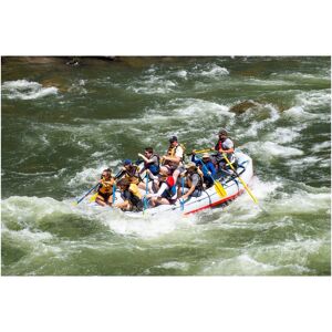 Trademark Fine Art Robert Michaud 'Raft 3' Canvas Art Green 22 x 32 Trademark Fine Art Robert Michaud 'Raft 3' Canvas Art Green 22 x 32
