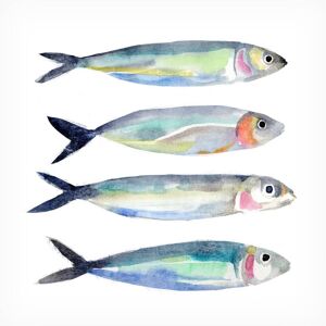 Trademark Fine Art Annie Warren 'Sardine Team I' Canvas Art White 14 x 14 Trademark Fine Art Annie Warren 'Sardine Team I' Canvas Art White 14 x 14