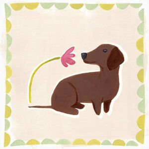 Trademark Fine Art June Erica Vess 'Dachshund Delight III' Canvas Art White 14 x 14 Trademark Fine Art June Erica Vess 'Dachshund Delight III' Canvas Art White 14 x 14