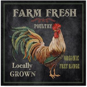 Trademark Fine Art Jean Plout 'Farm Fresh Rooster' Canvas Art Multi 24 x 24 Trademark Fine Art Jean Plout 'Farm Fresh Rooster' Canvas Art Multi 24 x 24