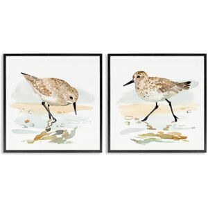 Stupell Sea Birds on Shore 2 Piece Framed Giclee Art Set Design by Victoria Barnes Multi 24 x 24 Stupell Sea Birds on Shore 2 Piece Framed Giclee Art Set Design by Victoria Barnes Multi 24 x 24