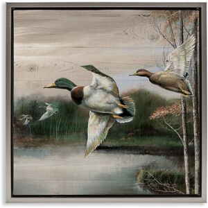 Stupell Flying Ducks in Rustic Nature Framed Floater Canvas Wall Art Design By Ruane Manning Green 25 x 25 Stupell Flying Ducks in Rustic Nature Framed Floater Canvas Wall Art Design By Ruane Manning Green 25 x 25