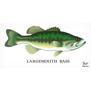 Trademark Fine Art Mark Frost 'Largemouth Bass' Canvas Art White 12 x 24 Trademark Fine Art Mark Frost 'Largemouth Bass' Canvas Art White 12 x 24