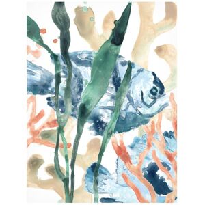 Trademark Fine Art June Erica Vess 'In the Kelp I' Canvas Art White 24 x 32 Trademark Fine Art June Erica Vess 'In the Kelp I' Canvas Art White 24 x 32