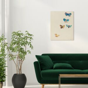 Wynwood Studio Canvas Animals Odilon Redon - Five Butterflies White and Modern & Contemporary Wall Art Canvas Print White 20 x 24 Wynwood Studio Canvas Animals Odilon Redon - Five Butterflies White and Modern & Contemporary Wall Art Canvas Print White 20 x 24