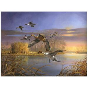 Trademark Fine Art R.J. McDonald 'Pintail Magic' Canvas Art Purple 18 x 24 Trademark Fine Art R.J. McDonald 'Pintail Magic' Canvas Art Purple 18 x 24