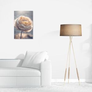 Wynwood Studio Canvas Floral and Botanical Evening Peony Bliss White and Cream White Glam Wall Art Canvas Print White 16 x 24 Wynwood Studio Canvas Floral and Botanical Evening Peony Bliss White and Cream White Glam Wall Art Canvas Print White 16 x 24