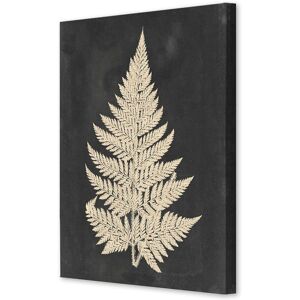 Linen Fern I by Somerset House - Fine Art Giclee Print on Gallery Wrap Canvas Beige 30 x 38 Linen Fern I by Somerset House - Fine Art Giclee Print on Gallery Wrap Canvas Beige 30 x 38