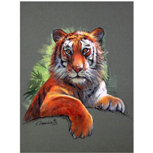 Trademark Fine Art Wil Cormier 'Mixed Media Tiger Large' Canvas Art Grey 35 x 47 Trademark Fine Art Wil Cormier 'Mixed Media Tiger Large' Canvas Art Grey 35 x 47