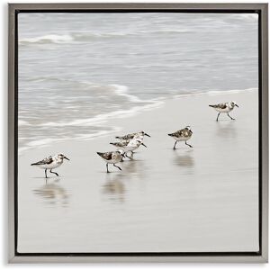 Stupell Scurrying Sandpiper Birds Framed Floater Canvas Wall Art Design By Natalie Carpentieri Beige 18 x 18 Stupell Scurrying Sandpiper Birds Framed Floater Canvas Wall Art Design By Natalie Carpentieri Beige 18 x 18