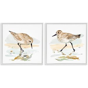Stupell Sea Birds on Shore 2 Piece Framed Giclee Art Set Design by Victoria Barnes Multi 24 x 24 Stupell Sea Birds on Shore 2 Piece Framed Giclee Art Set Design by Victoria Barnes Multi 24 x 24
