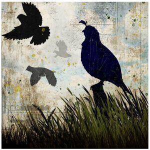 Trademark Fine Art LightBoxJournal 'Classic Pointer 03 Quail' Canvas Art White 24 x 24 Trademark Fine Art LightBoxJournal 'Classic Pointer 03 Quail' Canvas Art White 24 x 24