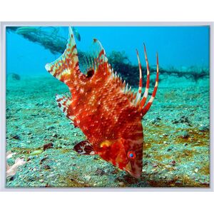 Ready2HangArt 'Sealife' Framed Canvas Wall Art Green,Blue,Red 20 in. W x 16 in. H Ready2HangArt 'Sealife' Framed Canvas Wall Art Green,Blue,Red 20 in. W x 16 in. H