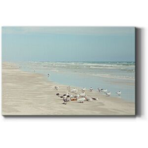 Wexford Home Padre Island Shore Birds Premium Gallery Wrapped Canvas - Ready to Hang 12X18 Wexford Home Padre Island Shore Birds Premium Gallery Wrapped Canvas - Ready to Hang 12X18
