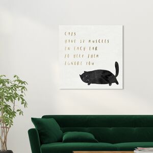 Wynwood Studio Canvas Animals Cat Ear Muscles Black and Metallic Gold Glam Wall Art Canvas Print Black 30 x 30 Wynwood Studio Canvas Animals Cat Ear Muscles Black and Metallic Gold Glam Wall Art Canvas Print Black 30 x 30