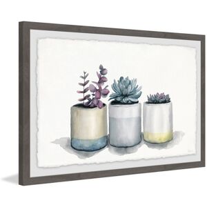 'Three Potted Succulents' Framed Painting Print Grey 24 x 16 'Three Potted Succulents' Framed Painting Print Grey 24 x 16